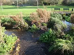 Three years after re-meandering.