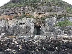 A cliff with pale grey beds of limestone overlain by orange sandstone, above which are more pale grey mudstones and limestones. A large fracture in the limestone is filled by a bulbous extension of the sandstone down into the limestone.