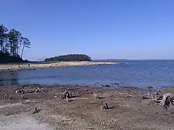 Beach of a large lake-like reservoir with much driftwood. A small island is visible in the water.