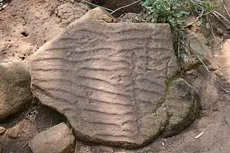 Lithified ripple marks on precambrian rocks, evidence of a shallow marine environment