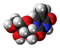 Space-filling model of the 5-methyluridine molecule