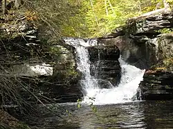 Water falls through a chute in layered rock, divided by a large pulpit-shaped boulder. A pool is visible at the base of the falls, and the leaves on the surrounding sunlit trees are bright green or yellow.