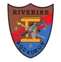 RIVRON II insignia.