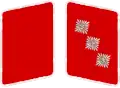SA Gorget patches