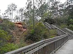 County park at Lillian, Alabama