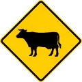 P-10-1 Cattle crossing