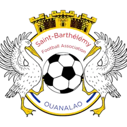 Shirt badge/Association crest