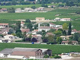 A general view of Saint-Laurent-des-Vignes