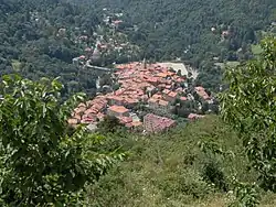 A view of Saint-Martin-Vésubie from the nearby hillside