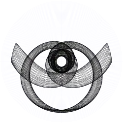 An orbit of the swinging Atwood's machine for , , and zero initial velocity.