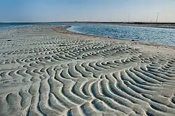 Sand ripples on a beach in Abu Samra