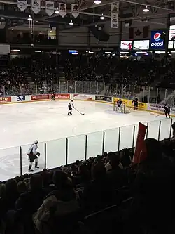 Sarnia Sting vs. Windsor Spitfires - January 2012