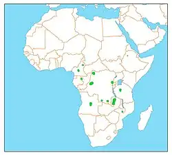 A map of the range of chestnut-headed flufftail, showing several small areas scattered around central Africa.