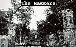 The ruined Mosque inside Syed Shakir Ali Naqvi's Graveyard Hazzere, Abdullapur Meerut