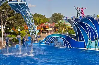Dolphins jumping at a show.