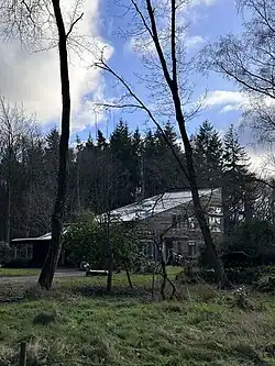 View from the ground.