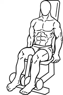 Seated leg curl at finishing phase