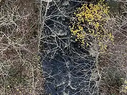 Cossette Creek,[11] tributary of Gendron Creek, under the Saint-Prosper-de-Champlain Bridge (Trans Canada Trail)