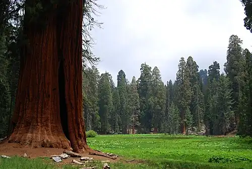 Round Meadow with Ed by Ned (far left)
