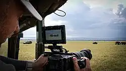 RED Epic Dragon on Safari