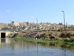 The fortress and town of Shaizar