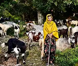 Bakarwal shepherd woman from Jammu and Kashmir