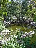 Artificial pond