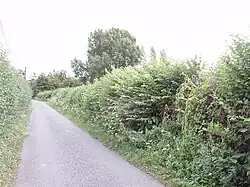 Skittle Green lane, near Bledlow, 2005