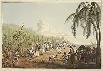 Image 26Sugar plantation in the British colony of Antigua, 1823 (from History of the Caribbean)