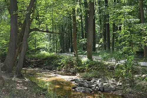 Sligo Creek with the Sligo Creek Trail in the background