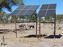 Ground-mounted solar panels in front of elephants