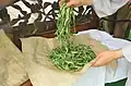 Steamed lotus leaves