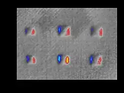 Shearography output image of CFRP/honeycomb part with artificial defects