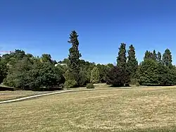 The estate parklands and arboretum