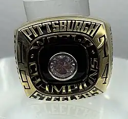 Super Bowl IX (Pittsburgh Steelers)