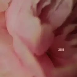 Survive - Lewis Capaldi