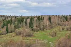 Taiga in Zalesovsky District