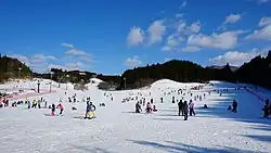 Acrobatic gymnastics