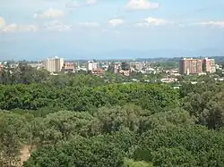 City skyline, viewed over trees