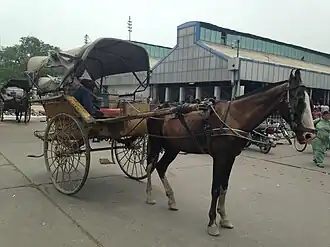 Horse-drawn carriage with a thin horse.