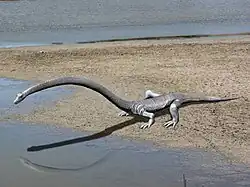 Tanystropheus, a long-necked tanystropheid