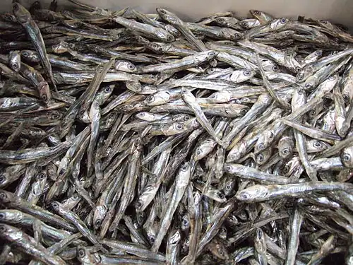 Dried Japanese anchovy (Engraulis japonica) at the market