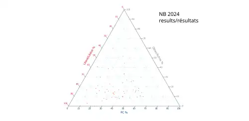 Ternary plot of 2024 results