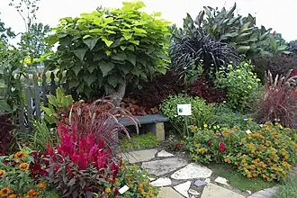 Part of the Idea Garden.