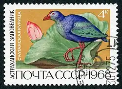 Purple swamphen and Caspian lotus, 1968 USSR stamp featuring Astrakhan Zapovednik