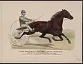 The trotting stallion Axtell, by William L. (by George Wilkes), 1889, Currier & Ives