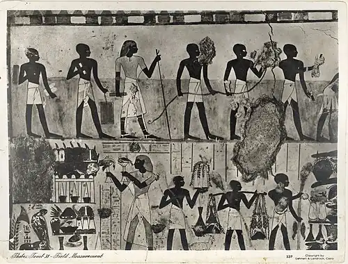 Wall painting scene from the transverse chamber, east wing. In the upper register, the deceased performs some of his duties in the company of some assistants. In the lower register, the deceased makes offerings to Amun and Renutet. The photograph (taken around 1930s) documents a wall that is in a more damaged condition today.[4]