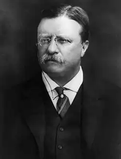 Former President Theodore Roosevelt from New York