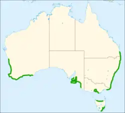 Map showing distribution of This canus along southern Australian coasts