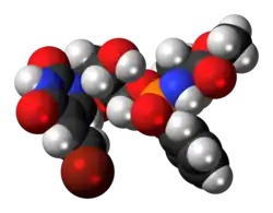 Space-filling model of the thymectacin molecule